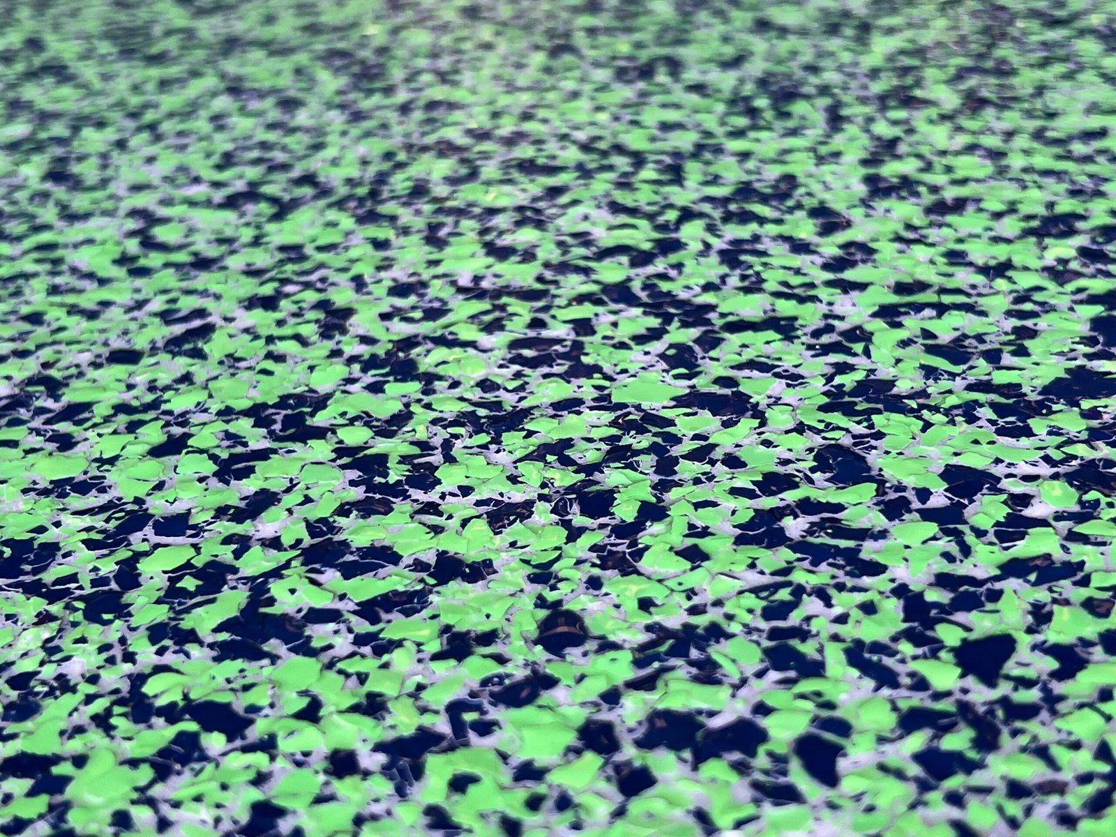 Photo Jun 21 2025 4 29 35 PM Scaled